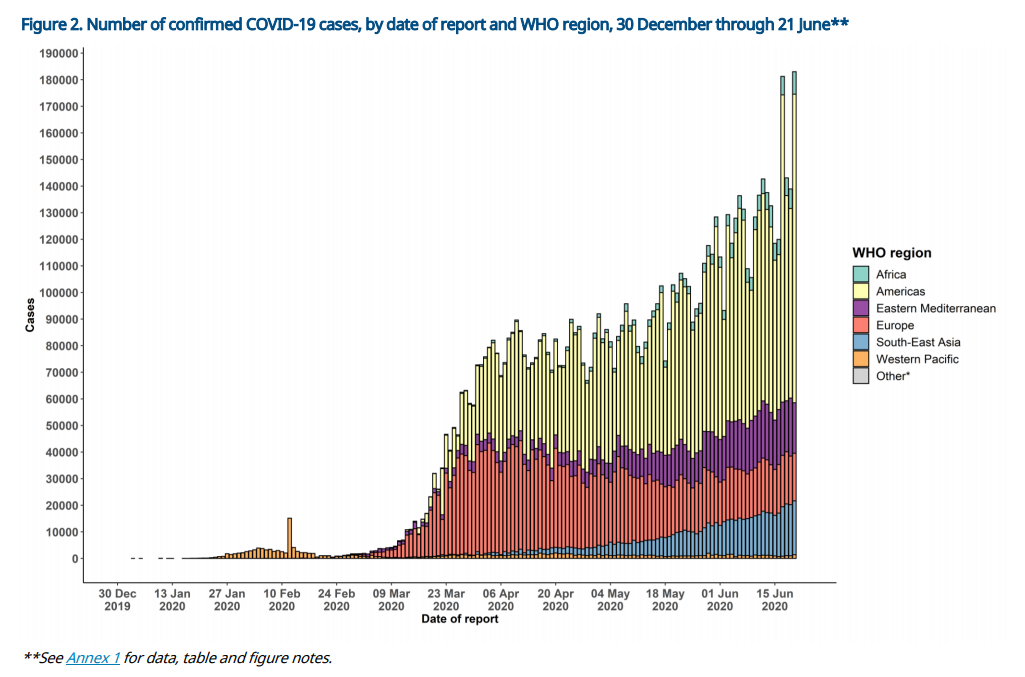 最新萨斯疫情动态下的自然之旅，寻找内心的宁静与平和