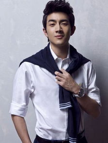 林更新演员成长之路，初学者与进阶者的指南