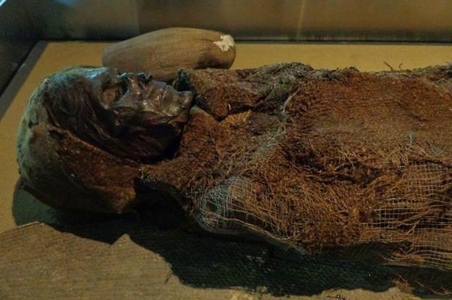 神秘古尸之谜,探索与研究步骤指南