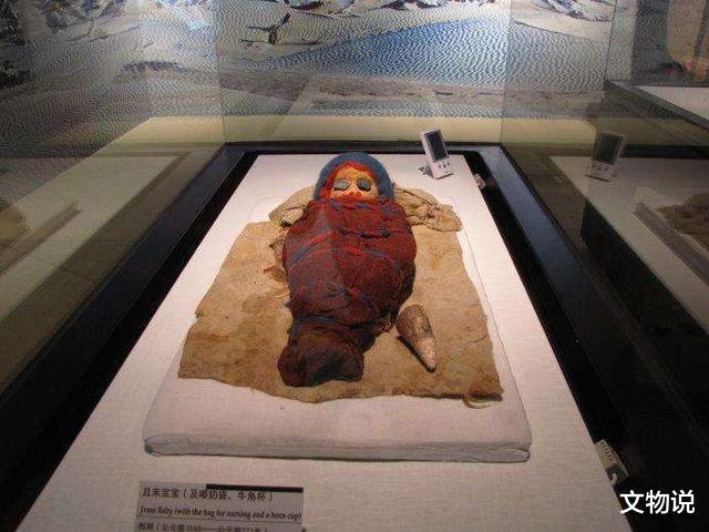 神秘古尸之谜,探索与研究步骤指南