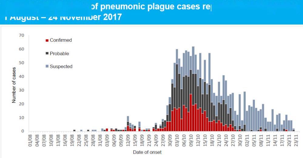 最新感染数据及其背后的秘密与小巷特色小店探秘