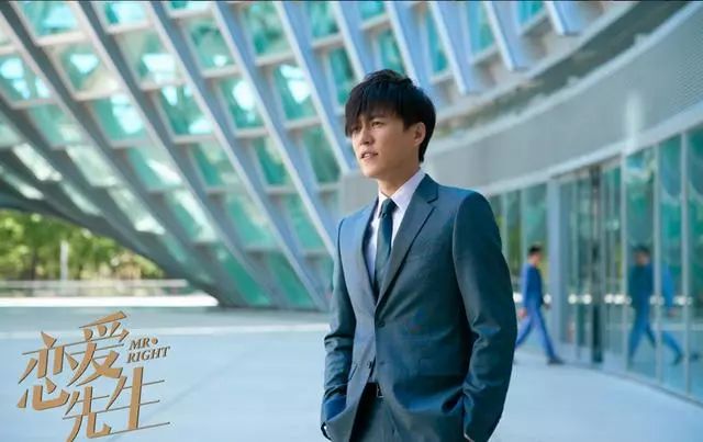 电视剧恋爱先生深度解析与赏析