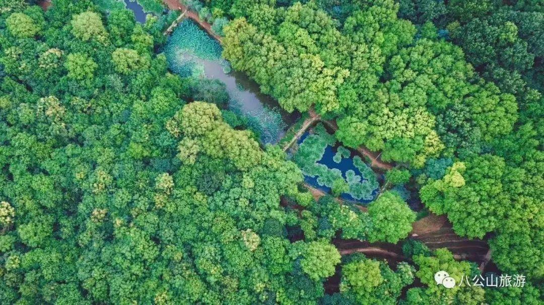 八公山风景区门票价格，自然美景探索之旅启程