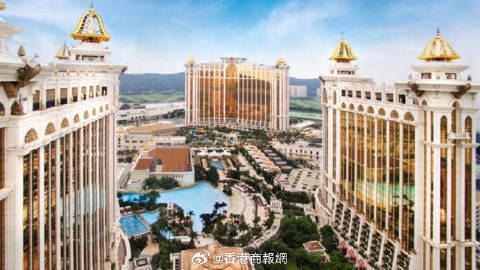 "澳门今晚必开一肖一特"的:实地观察解释定义_儿童版8.38