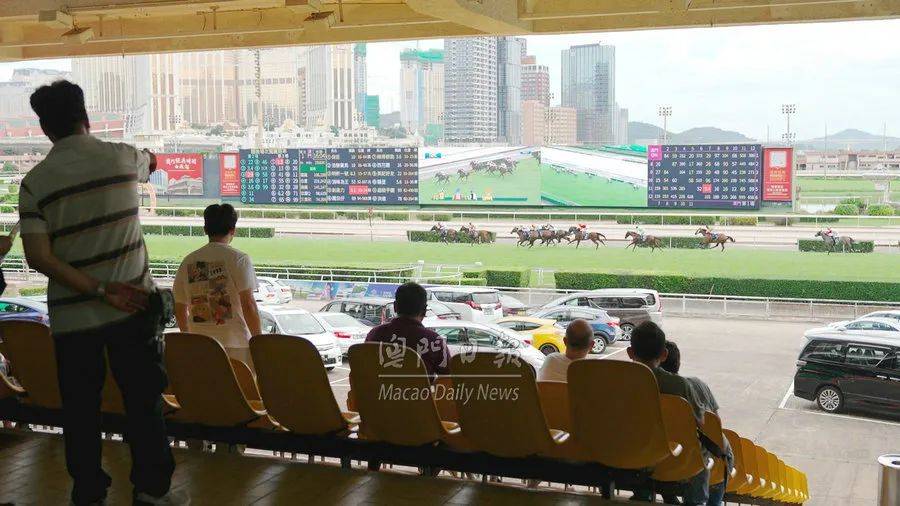 "澳门今晚必开一肖一特"的:实地观察解释定义_儿童版8.38