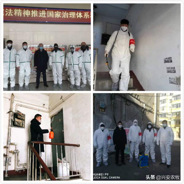 兴安疫情动态更新，全面防护指南与最新动态