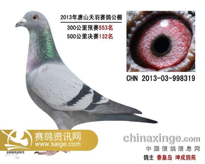 君翼赛鸽公棚秋棚最新公告，自然美景探索之旅，心灵平静之旅的邀请函