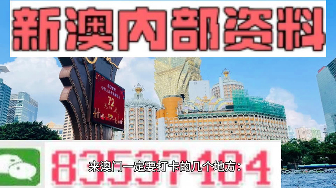 2024新澳门正版免费资本车资料,专家解说解释定义_旅行者特别版96.751