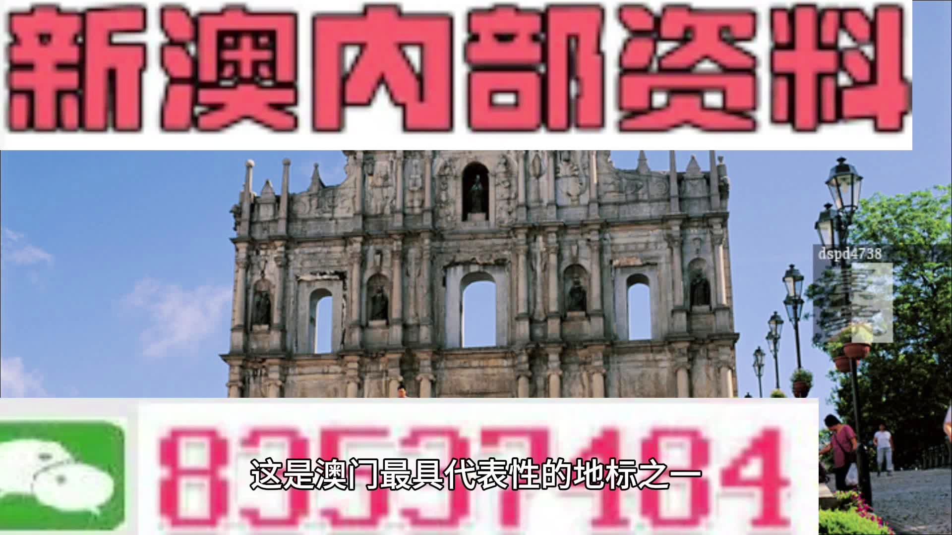 2024新澳门正版免费资本车资料,专家解说解释定义_旅行者特别版96.751
