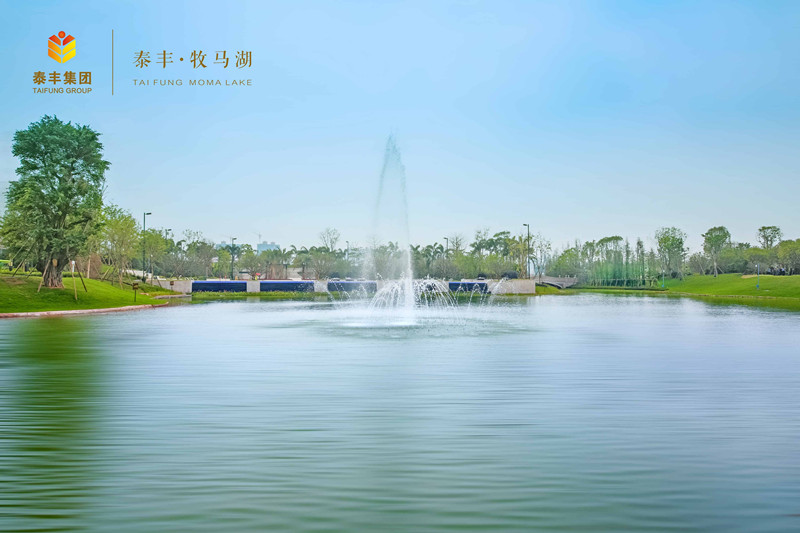 泰丰牧马湖最新动态揭秘,全面了解和参与的综合指南