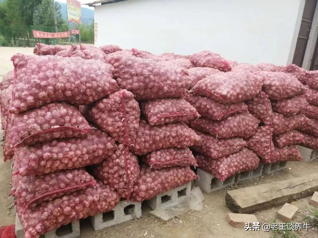 杞县大蒜价格最新行情,杞县大蒜价格最新行情，一场寻找内心平静的绿色之旅