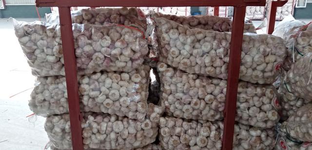 杞县大蒜价格最新行情,杞县大蒜价格最新行情，一场寻找内心平静的绿色之旅