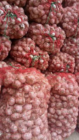 杞县大蒜价格最新行情,杞县大蒜价格最新行情，一场寻找内心平静的绿色之旅