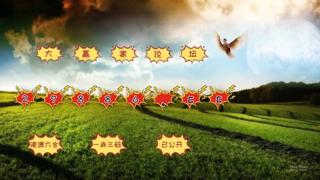 4949澳门彩开奖结果,精细化实施分析_掌中宝13.796