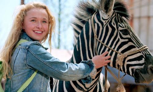 斑马电影，光影传奇的崛起与深远影响