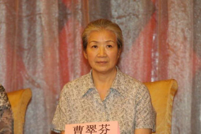 电视剧婆婆演员表及角色全面解读,婆婆角色的深度剖析