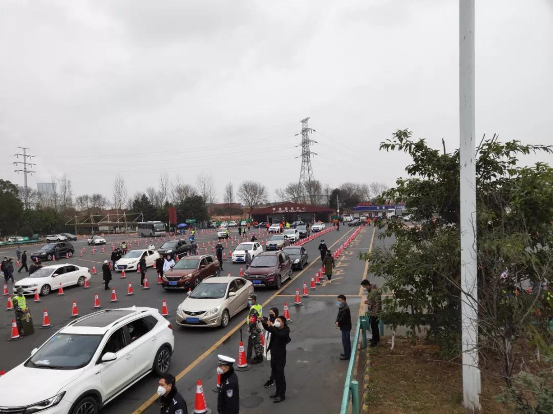 淮口租房资讯回顾与探析，深度解析租房市场动态