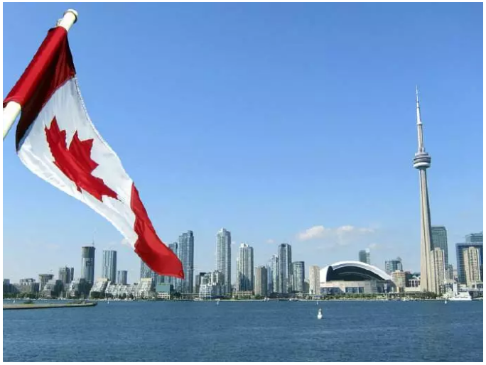 PKF最新动态,PKF最新动态,如何完成一项任务或学习技能的详细步骤指南