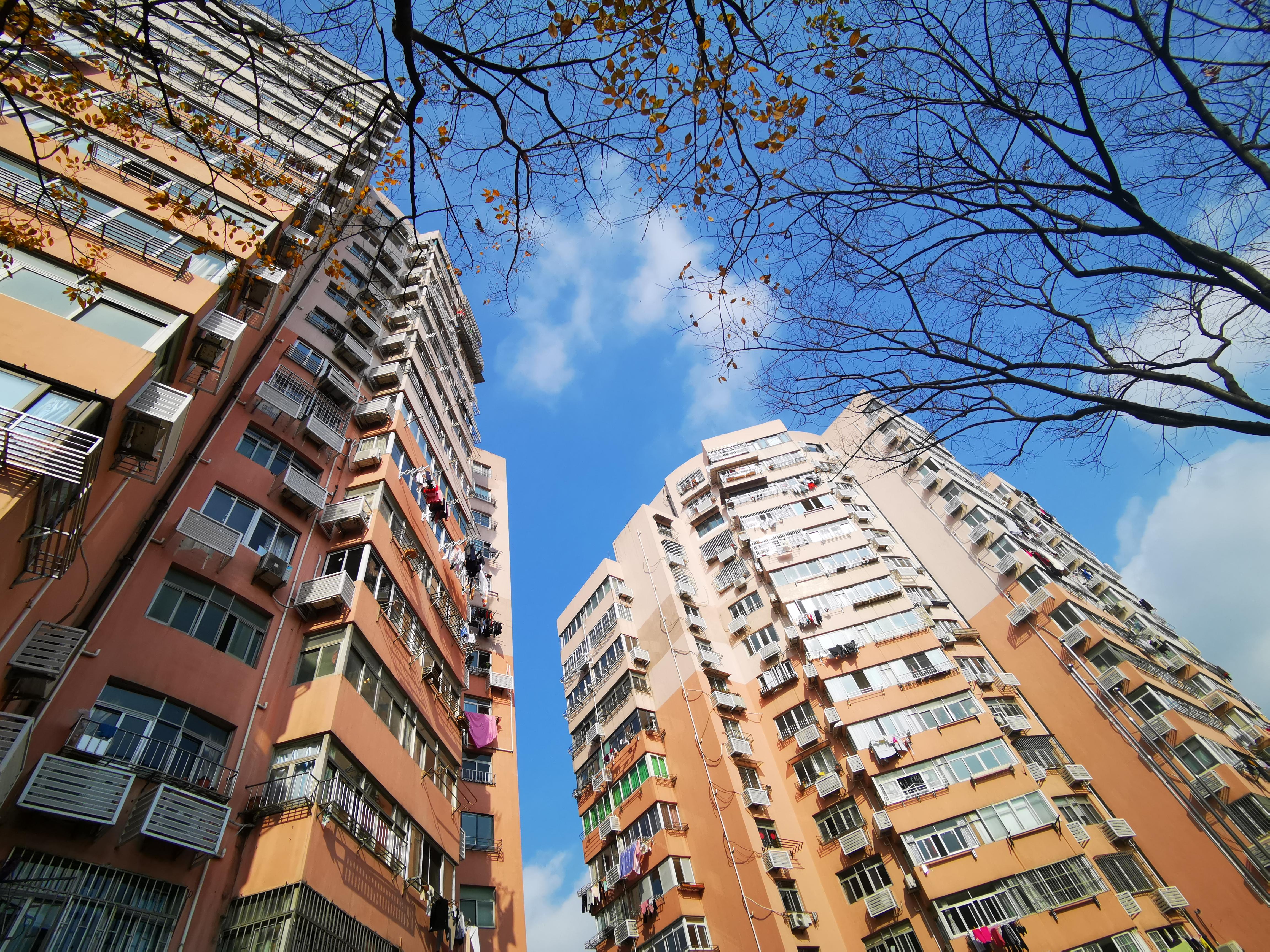 上海65岁及以上老人最新政策解读，多方观点与个人立场探讨