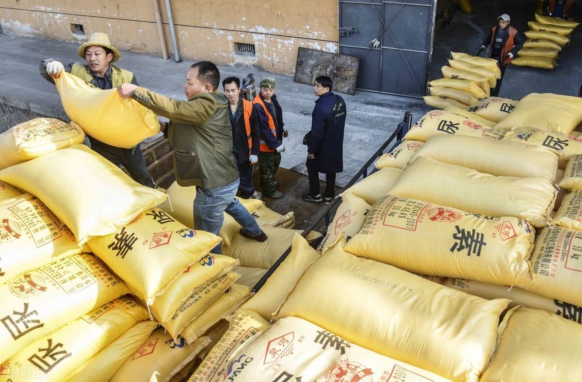 尿素价格行情今日尿素价格,尿素价格行情与心灵旅行的奇妙缘分