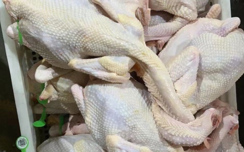 白条鸡行情,白条鸡行情,回顾与影响