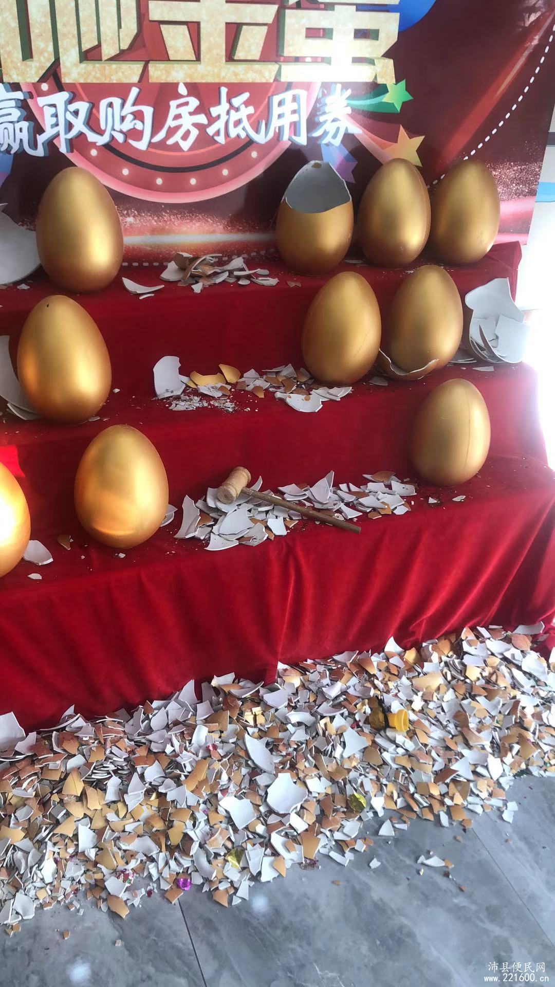 金蛋最新资讯，学习变化，自信成就梦想，励志之旅启程