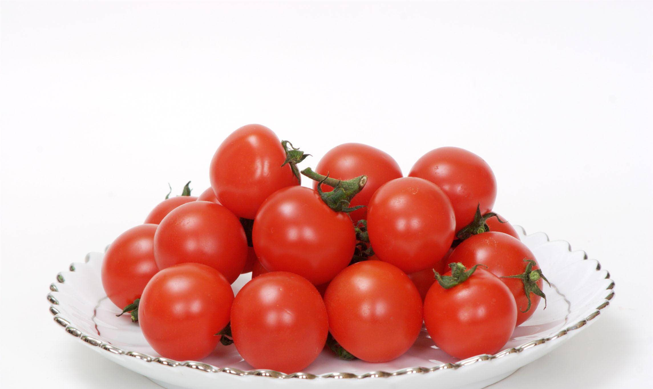 小番茄行情,科技新星引领智能生活新纪元新动向