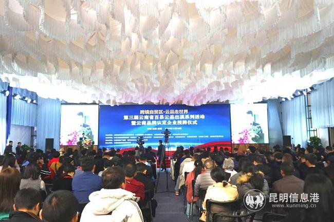 云南自贸区最新动态概览，任务指南与技能学习进阶