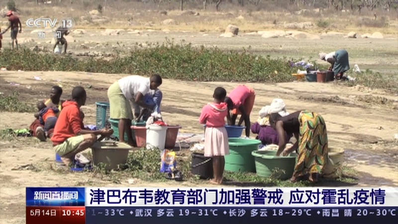 今日津巴布韦疫情动态,今日津巴布韦疫情动态，大自然中的微笑与宁静之旅