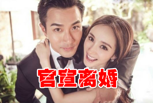 揭秘杨幂与刘恺威的新生活与事业进展，最新动态一览