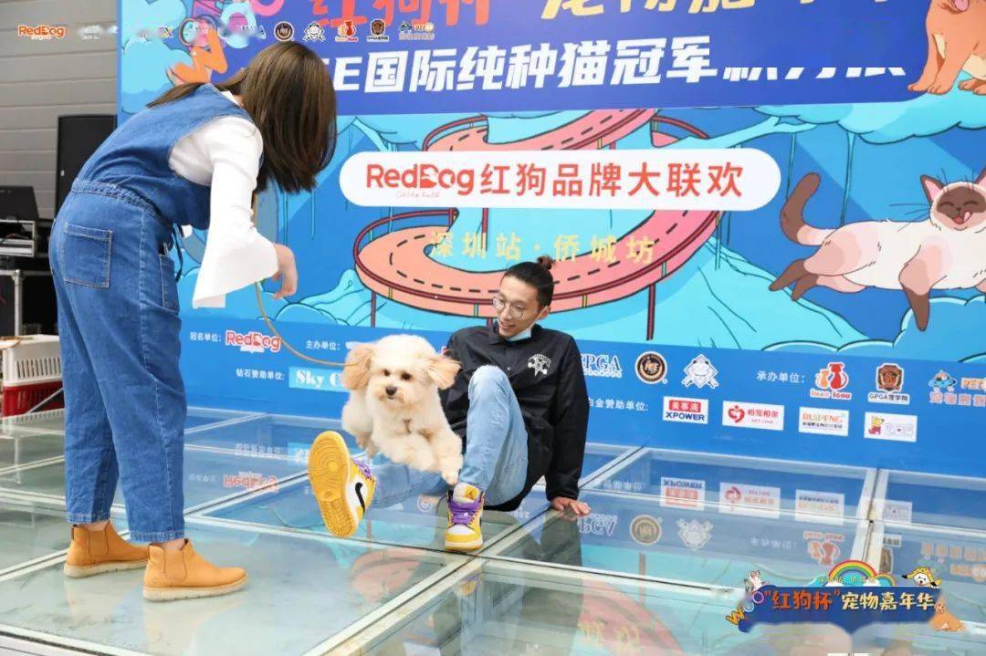 宠物娱乐新潮，与萌宠共赴自然之旅，寻找内心平和与愉悦的乐趣