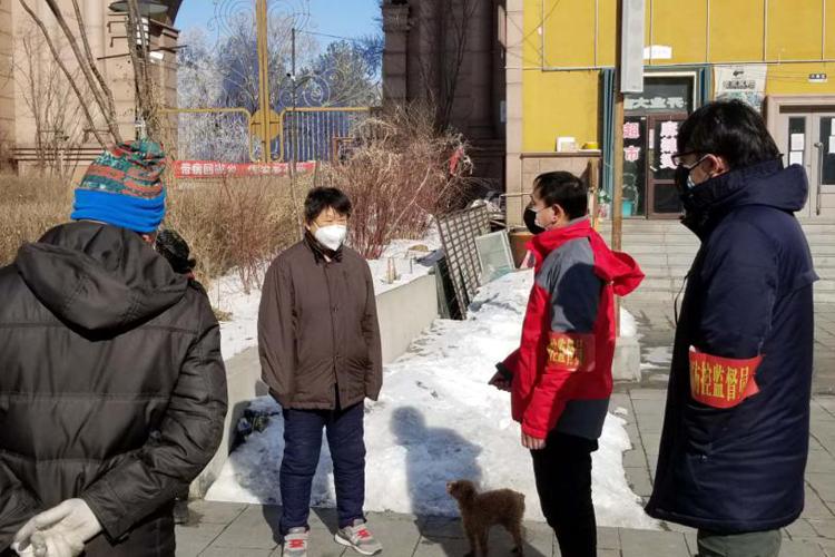 演员张雪菲,演艺之路的璀璨之星