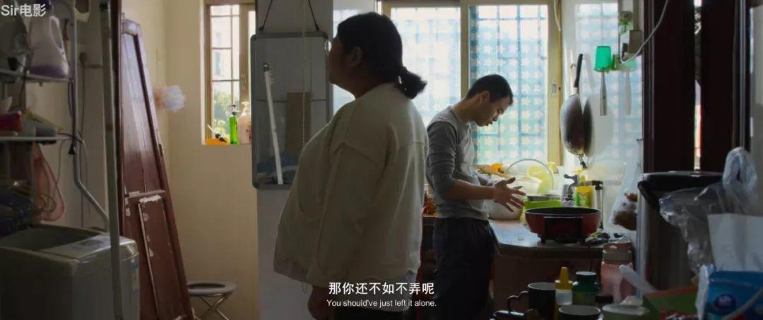 演员张雪菲,演艺之路的璀璨之星