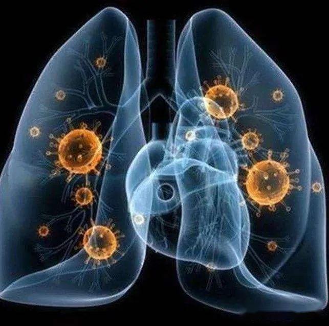 有最新肺炎,最新肺炎时代,学习、变化,构筑自信与成就感的励志之旅