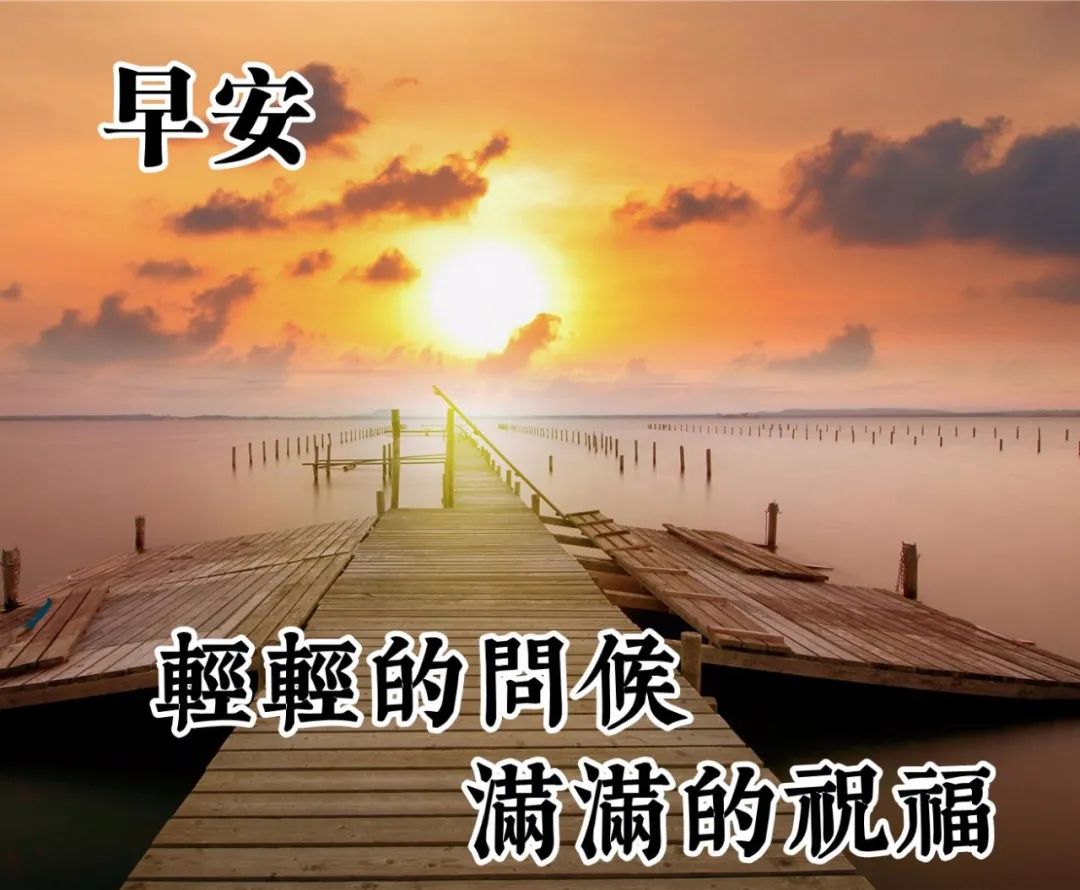 每日精选问候语，温暖人心的小确幸之花