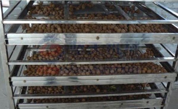 龙眼价格行情,龙眼价格行情——科技引领未来,龙眼行情尽在掌握