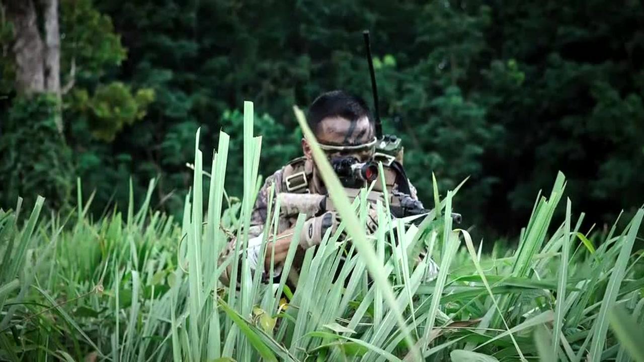 丛林作战电影，深度探究丛林战争的艺术与魅力解析