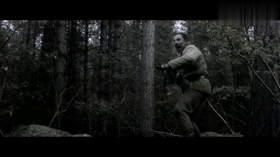 丛林作战电影，深度探究丛林战争的艺术与魅力解析