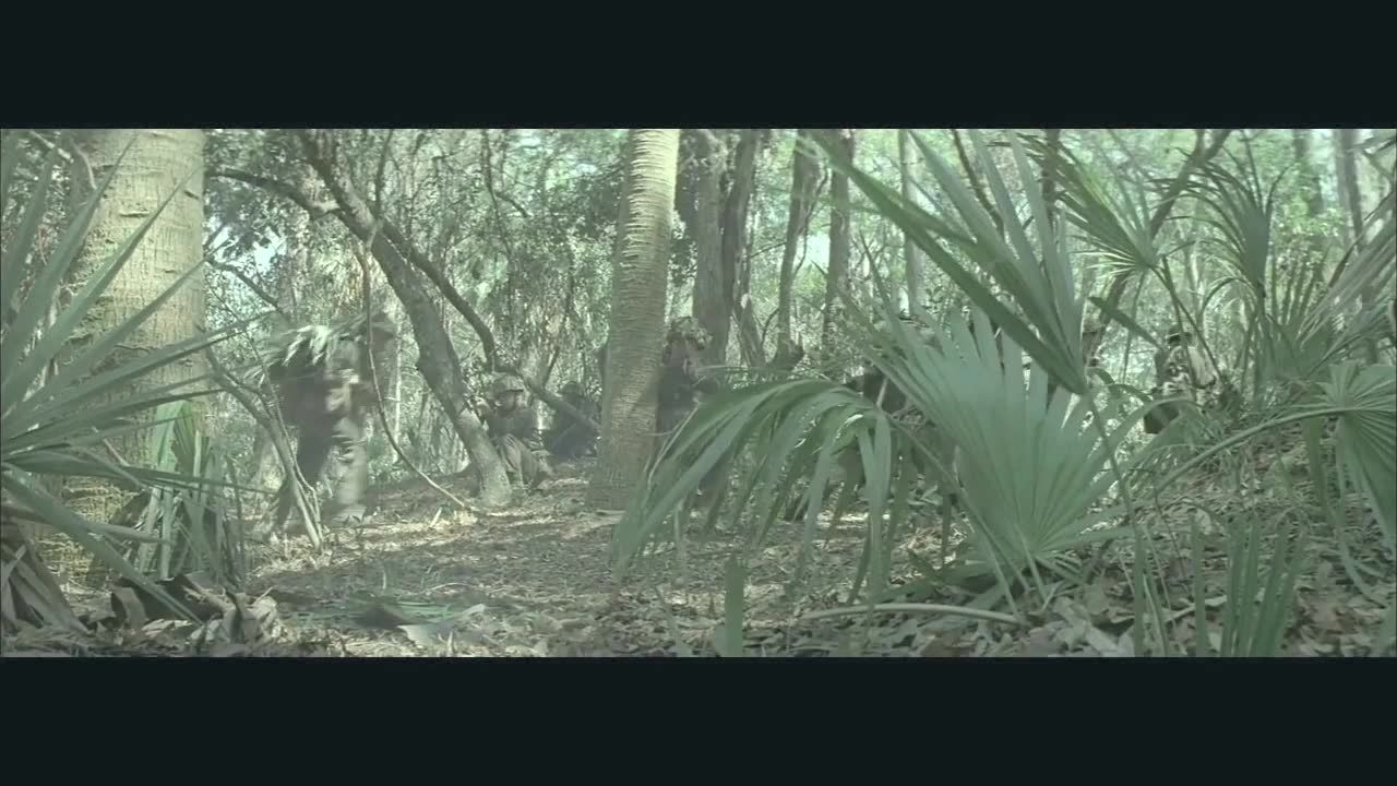 丛林作战电影，深度探究丛林战争的艺术与魅力解析