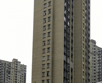 南昌九龙明珠动态资讯,南昌九龙明珠动态资讯,了解与参与指南