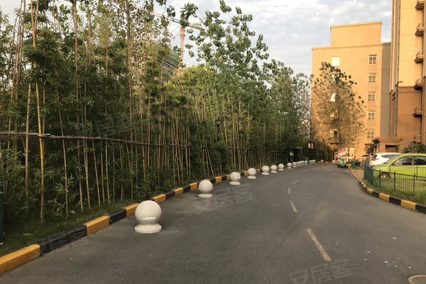 滨河竹园最新动态及其个人观察