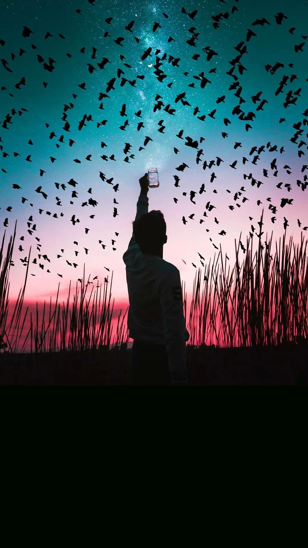 苹果12最新资讯,科技引领未来,重塑生活新篇章