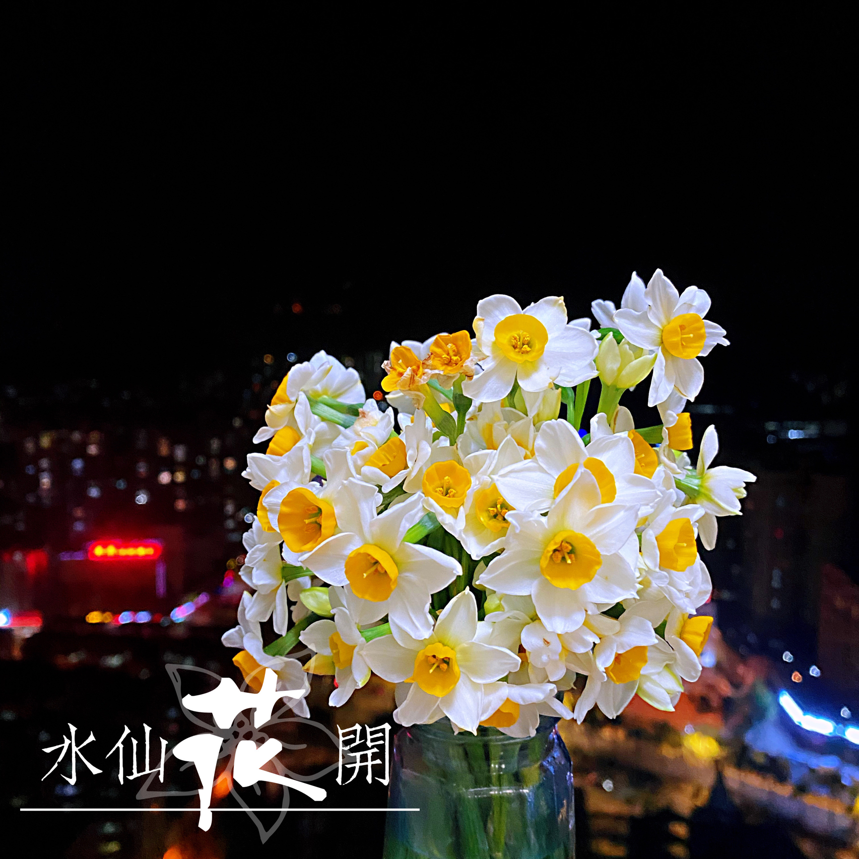 水仙花开电影，引领科技潮流，重塑观影新体验