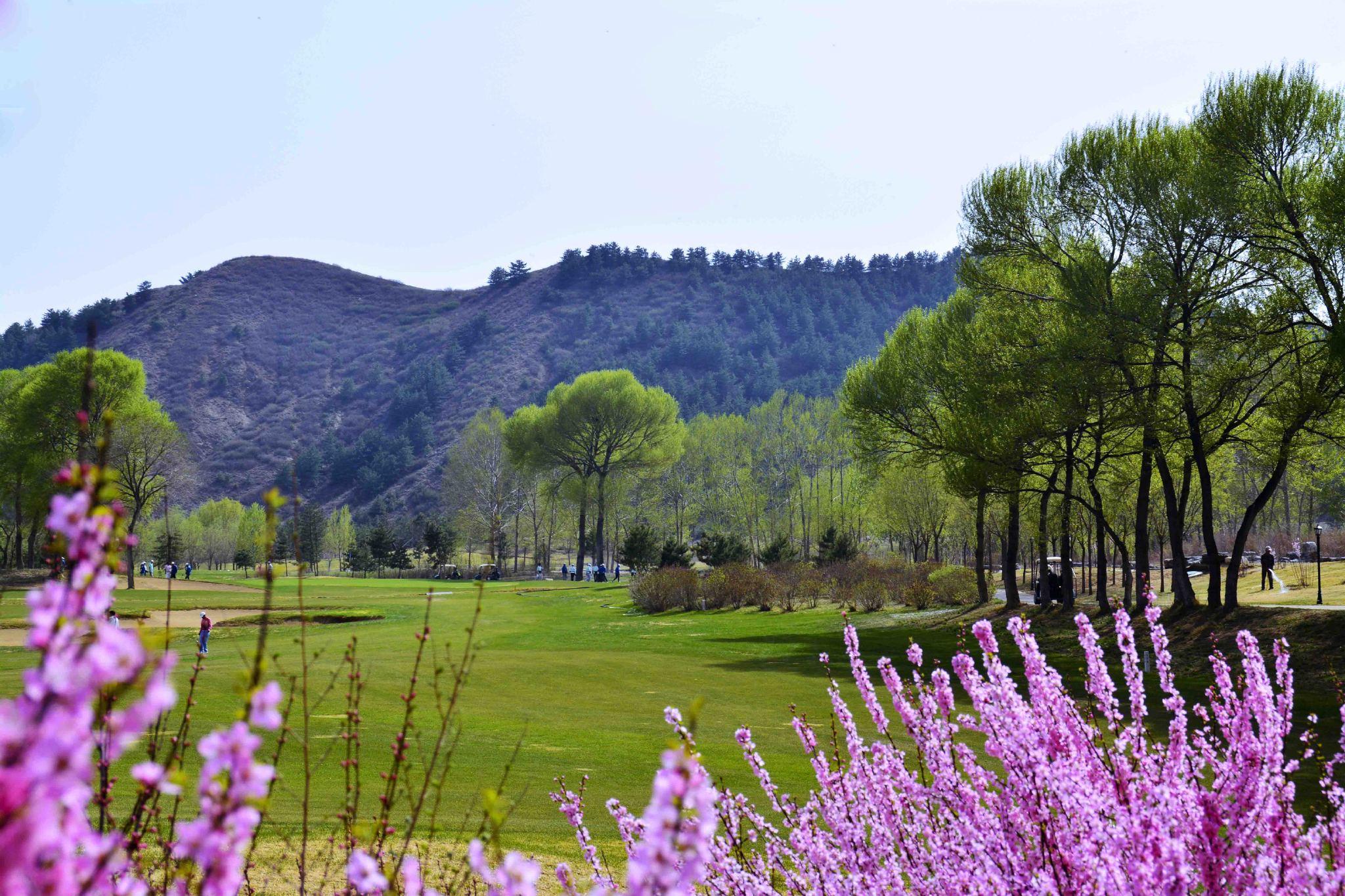 呼和浩特最新休闲娱乐会所，一站式指南