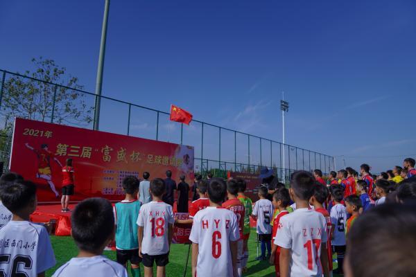 崇明岛最新发展蓝图，科技引领生态绿洲，开启智能生活新纪元