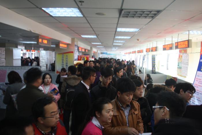 郑州人才招聘会最新动态，变化中的机遇与成就感的源泉