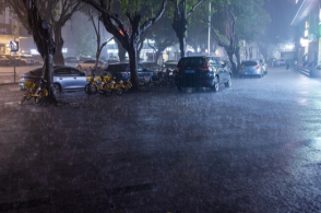 深圳雨情下的自然美景探索之旅