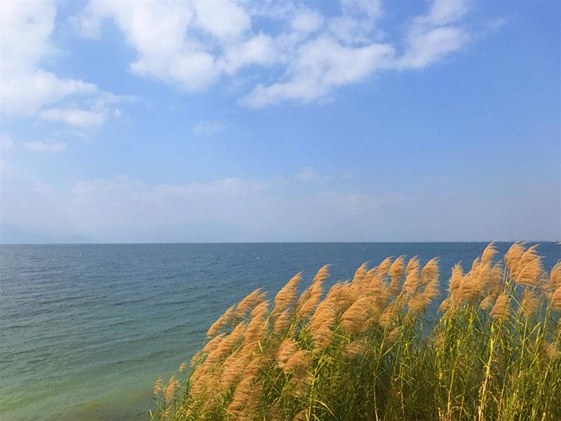 明星鱼洞，小巷深处的美食秘境