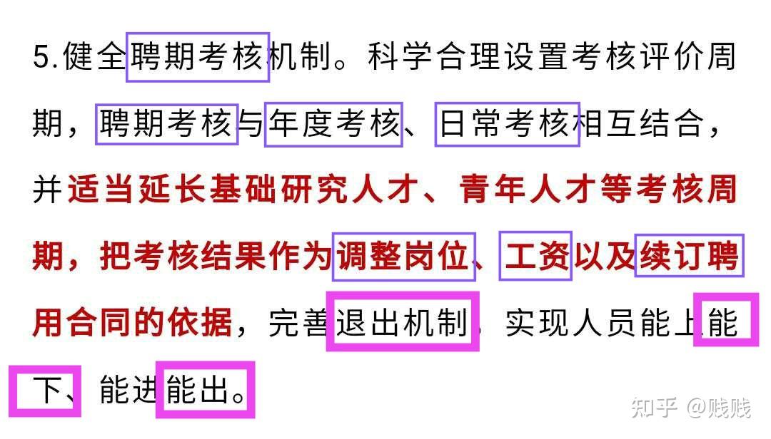 高校职称改革最新进展与动态更新