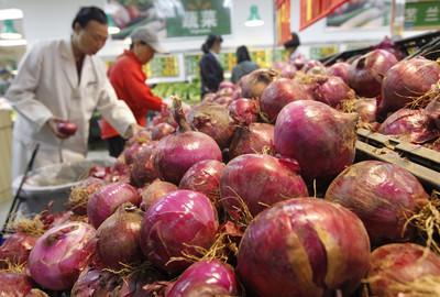 最新洋葱价格资讯揭秘，小巷深处的神秘厨房